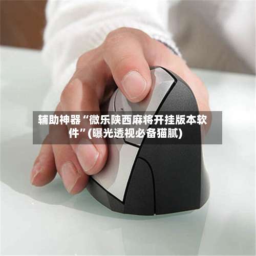 辅助神器“微乐陕西麻将开挂版本软件”(曝光透视必备猫腻)-第2张图片