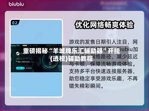 重磅揭秘“羊城牌乐汇辅助器”开挂(透视)辅助教程-第2张图片