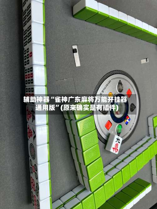 辅助神器“雀神广东麻将万能开挂器通用版”(原来确实是有插件)-第3张图片