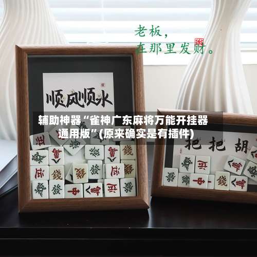 辅助神器“雀神广东麻将万能开挂器通用版	”(原来确实是有插件)-第2张图片