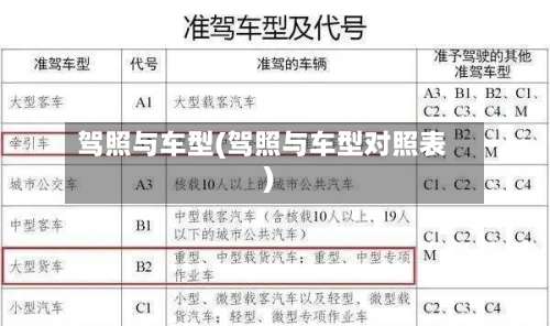 驾照与车型(驾照与车型对照表)-第1张图片