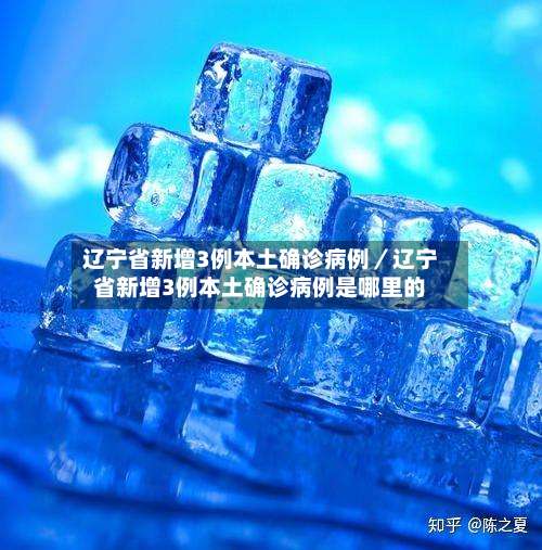 辽宁省新增3例本土确诊病例/辽宁省新增3例本土确诊病例是哪里的-第1张图片