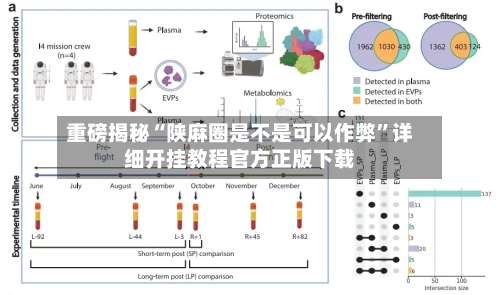 重磅揭秘“陕麻圈是不是可以作弊”详细开挂教程官方正版下载-第2张图片