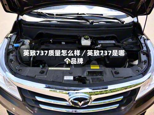 英致737质量怎么样/英致737是哪个品牌-第2张图片