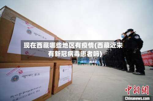 现在西藏哪些地区有疫情(西藏近来有新冠病毒患者吗)-第2张图片