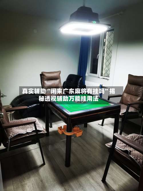 真实辅助“闲来广东麻将有挂吗”揭秘透视辅助万能挂用法-第3张图片