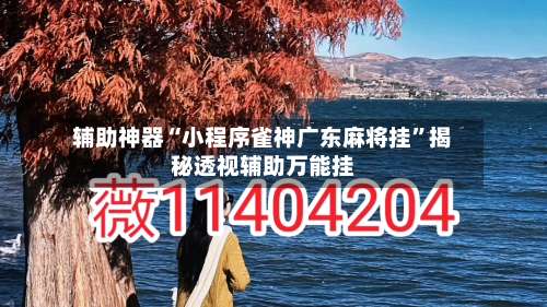 辅助神器“小程序雀神广东麻将挂”揭秘透视辅助万能挂-第2张图片