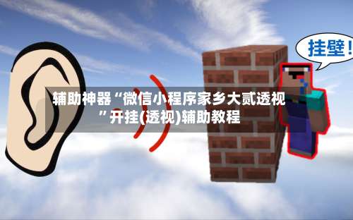 辅助神器“微信小程序家乡大贰透视”开挂(透视)辅助教程-第3张图片