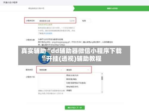 真实辅助“dd辅助器微信小程序下载	”开挂(透视)辅助教程-第2张图片
