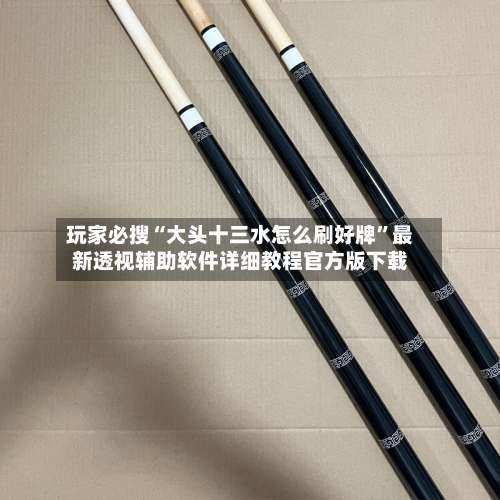 玩家必搜“大头十三水怎么刷好牌”最新透视辅助软件详细教程官方版下载-第2张图片