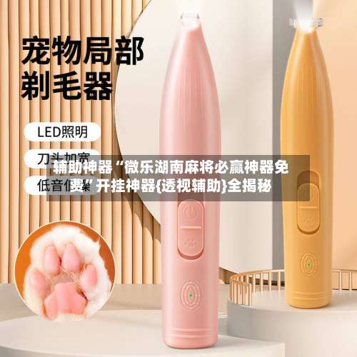 辅助神器“微乐湖南麻将必赢神器免费”开挂神器{透视辅助}全揭秘-第2张图片