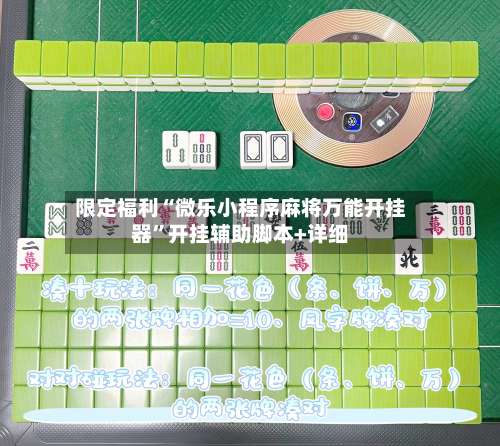 限定福利“微乐小程序麻将万能开挂器”开挂辅助脚本+详细-第1张图片