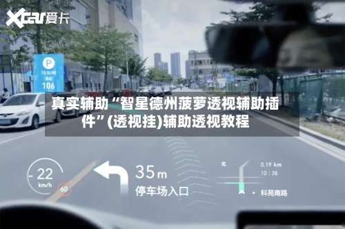 真实辅助“智星德州菠萝透视辅助插件”(透视挂)辅助透视教程-第2张图片