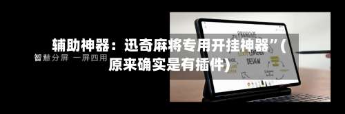 辅助神器：迅奇麻将专用开挂神器	”(原来确实是有插件)-第3张图片