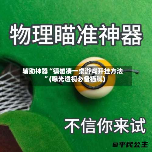 辅助神器“镇雄凑一桌游戏开挂方法”(曝光透视必备猫腻)-第3张图片