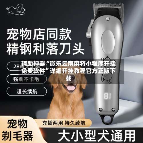 辅助神器“微乐云南麻将小程序开挂免费软件”详细开挂教程官方正版下载-第1张图片