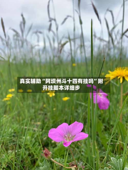 真实辅助“阿坝州斗十四有挂吗	”附开挂脚本详细步-第1张图片