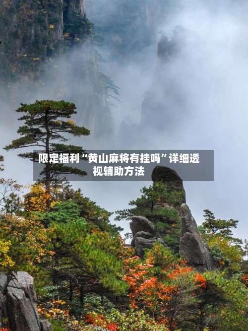限定福利“黄山麻将有挂吗”详细透视辅助方法-第2张图片