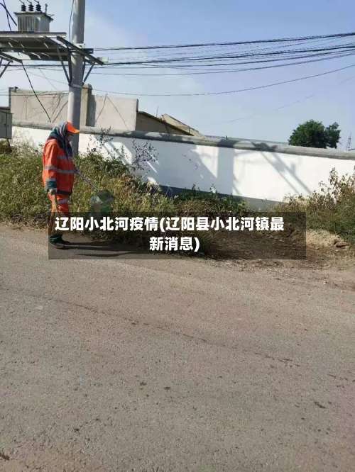 辽阳小北河疫情(辽阳县小北河镇最新消息)-第3张图片
