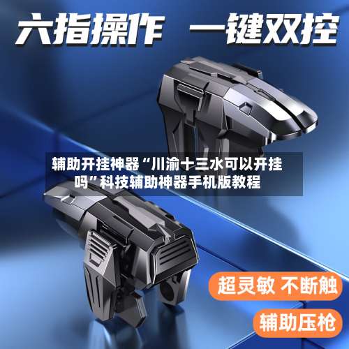 辅助开挂神器“川渝十三水可以开挂吗	”科技辅助神器手机版教程-第3张图片