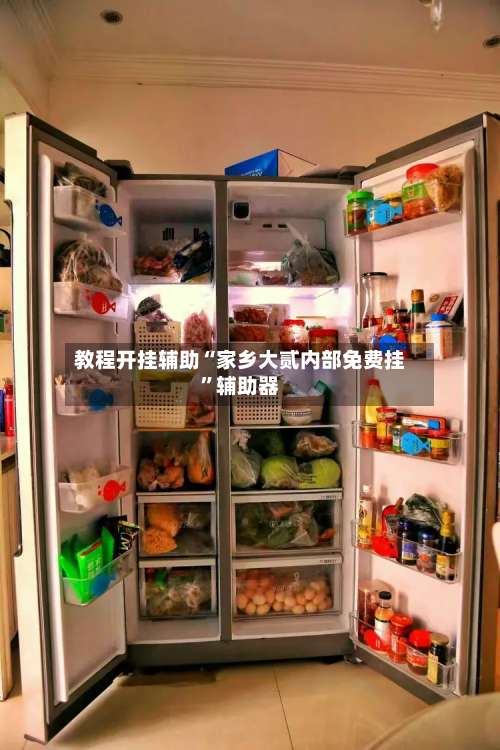 教程开挂辅助“家乡大贰内部免费挂”辅助器-第2张图片