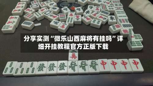 分享实测“微乐山西麻将有挂吗”详细开挂教程官方正版下载-第3张图片
