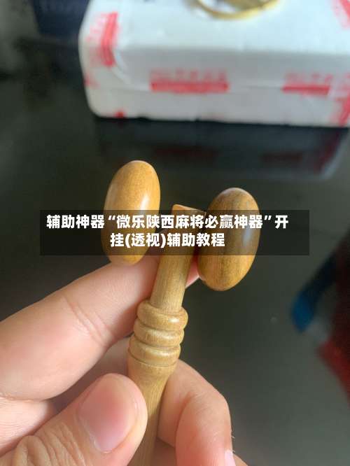 辅助神器“微乐陕西麻将必赢神器”开挂(透视)辅助教程-第2张图片