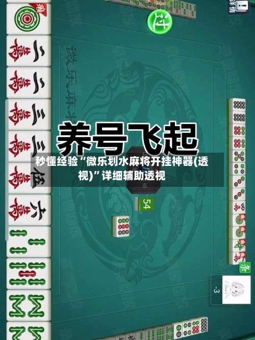 秒懂经验“微乐划水麻将开挂神器(透视)	”详细辅助透视-第1张图片