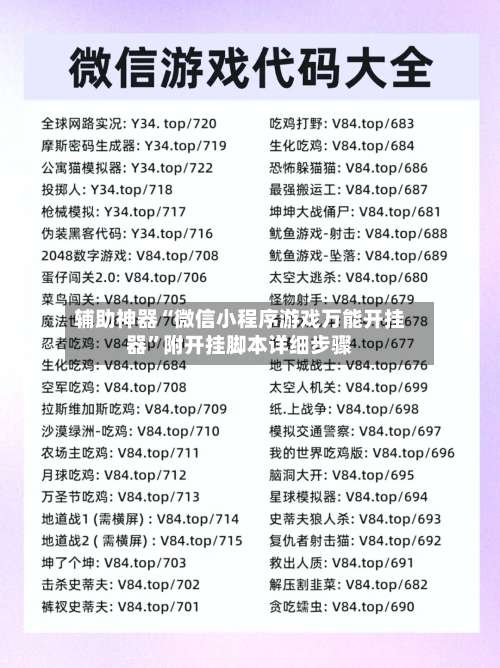 辅助神器“微信小程序游戏万能开挂器”附开挂脚本详细步骤-第3张图片