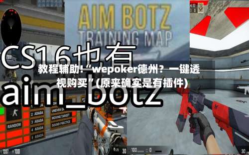 教程辅助!“wepoker德州？一键透视购买”(原来确实是有插件)-第1张图片