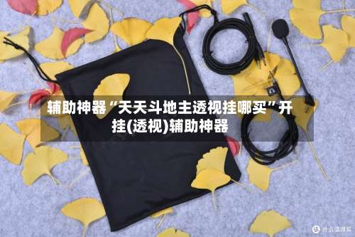 辅助神器“天天斗地主透视挂哪买”开挂(透视)辅助神器-第3张图片