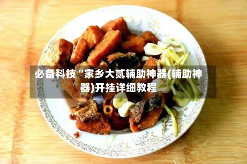 必备科技“家乡大贰辅助神器(辅助神器)开挂详细教程-第1张图片