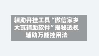辅助开挂工具“微信家乡大贰辅助软件	”揭秘透视辅助万能挂用法-第1张图片