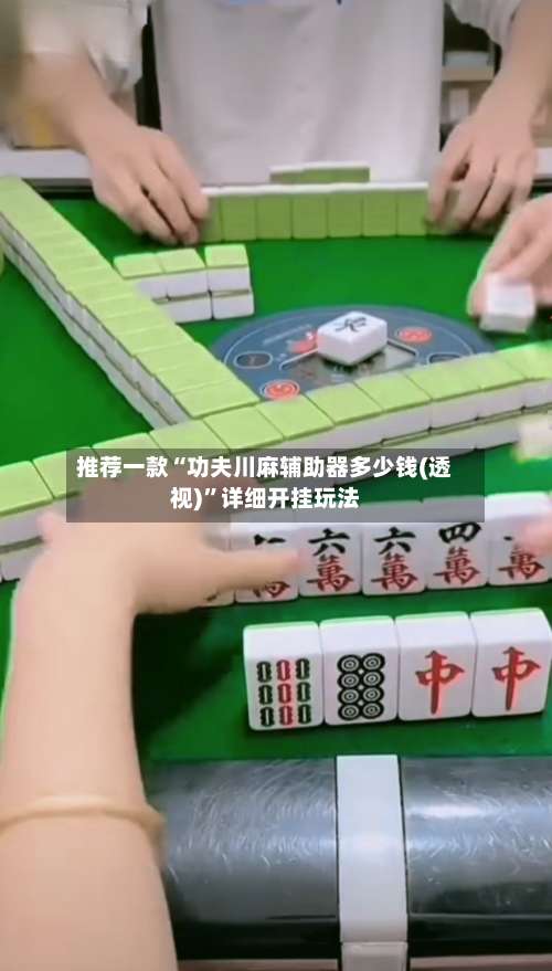 推荐一款“功夫川麻辅助器多少钱(透视)”详细开挂玩法-第3张图片