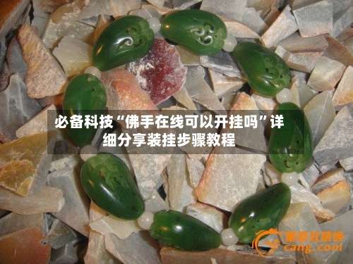 必备科技“佛手在线可以开挂吗”详细分享装挂步骤教程-第2张图片