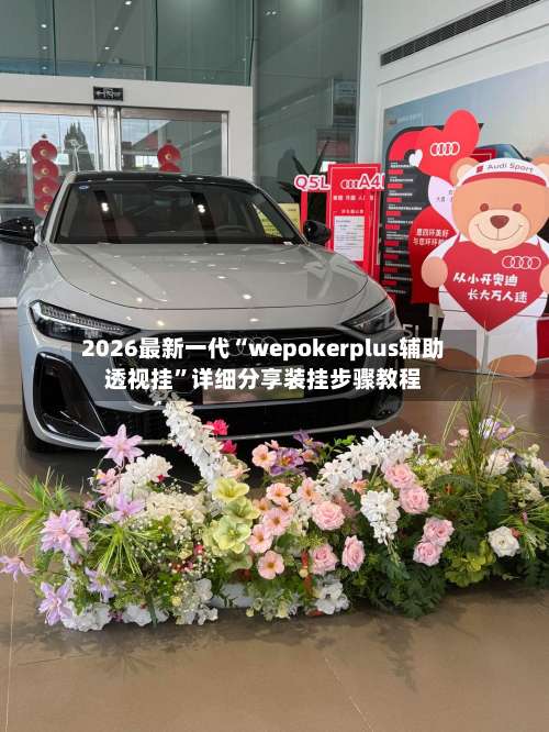 2026最新一代“wepokerplus辅助透视挂	”详细分享装挂步骤教程-第1张图片