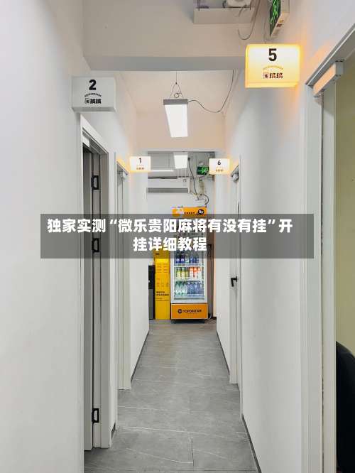 独家实测“微乐贵阳麻将有没有挂”开挂详细教程-第1张图片