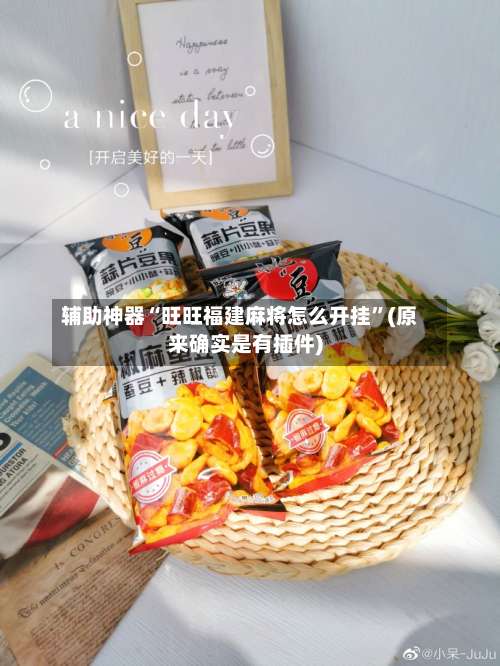 辅助神器“旺旺福建麻将怎么开挂”(原来确实是有插件)-第2张图片