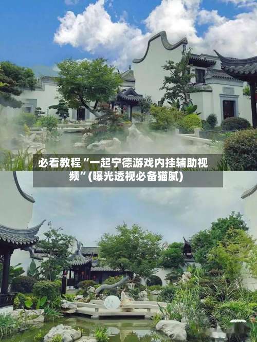 必看教程“一起宁德游戏内挂辅助视频	”(曝光透视必备猫腻)-第1张图片