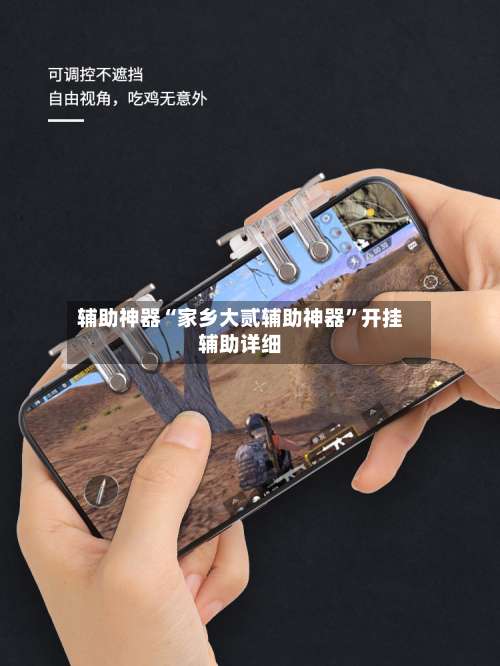 辅助神器“家乡大贰辅助神器”开挂辅助详细-第1张图片