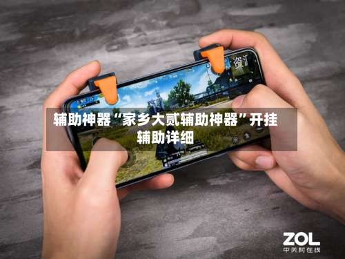 辅助神器“家乡大贰辅助神器	”开挂辅助详细-第2张图片