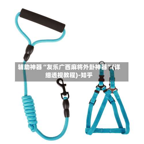 辅助神器“友乐广西麻将外卦神器	”(详细透视教程)-知乎-第1张图片