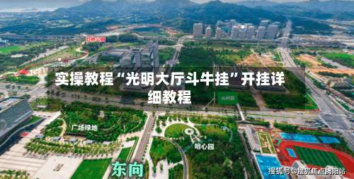 实操教程“光明大厅斗牛挂	”开挂详细教程-第2张图片