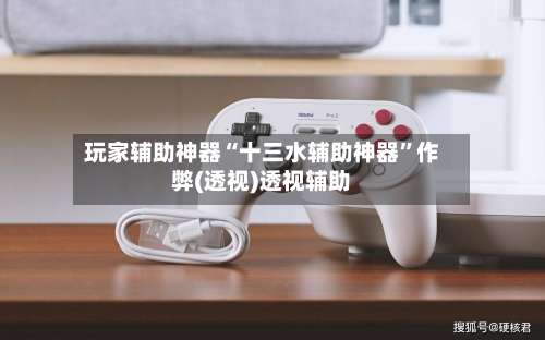 玩家辅助神器“十三水辅助神器”作弊(透视)透视辅助-第1张图片