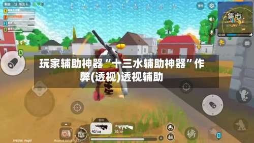 玩家辅助神器“十三水辅助神器”作弊(透视)透视辅助-第3张图片