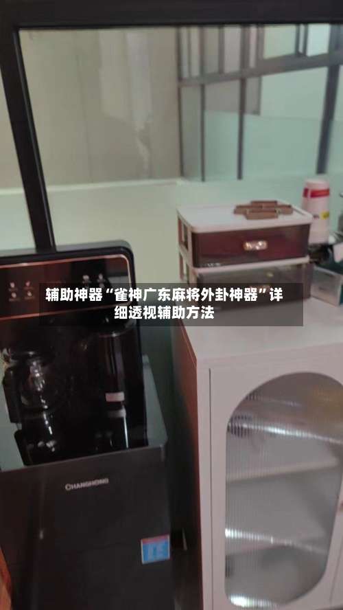 辅助神器“雀神广东麻将外卦神器”详细透视辅助方法-第1张图片