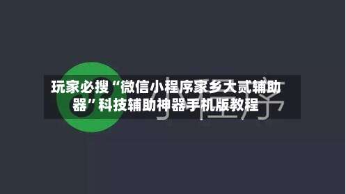 玩家必搜“微信小程序家乡大贰辅助器”科技辅助神器手机版教程-第2张图片