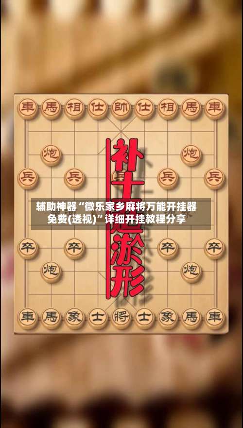 辅助神器“微乐家乡麻将万能开挂器免费(透视)”详细开挂教程分享-第2张图片