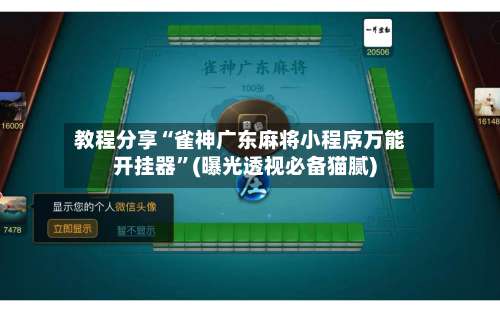 教程分享“雀神广东麻将小程序万能开挂器”(曝光透视必备猫腻)-第3张图片
