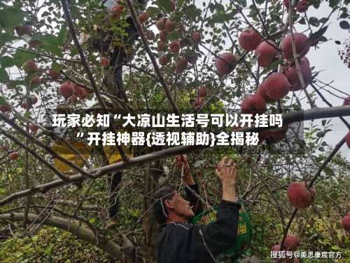 玩家必知“大凉山生活号可以开挂吗”开挂神器{透视辅助}全揭秘-第1张图片